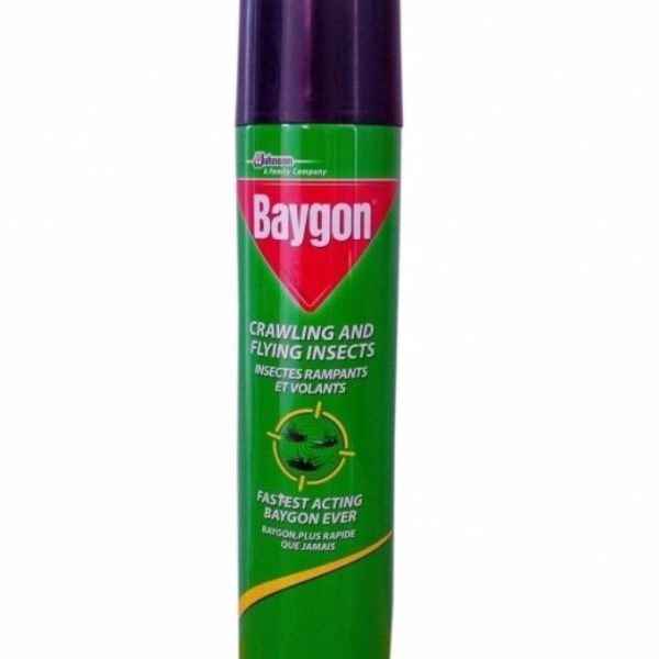 Baygon Insecticide 500ml